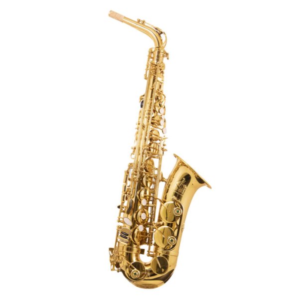 Altsaxofon Trevor James The Horn 3730G, lakeret
